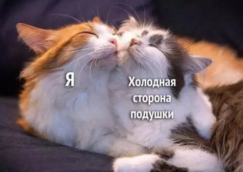 Смешная картинка №706773