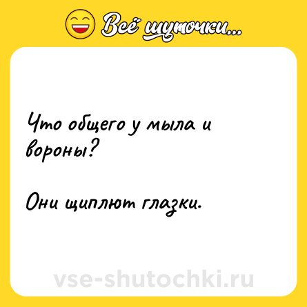 Шутка: Что общего у мыла и вороны?<br><br>Они щиплют глазки.