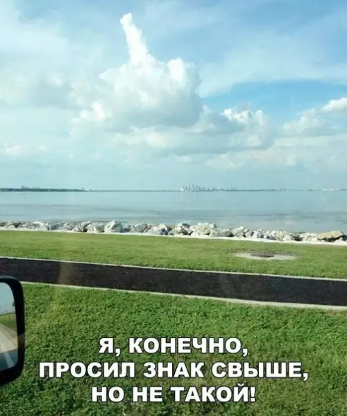 Смешная картинка №455618 Когда все против тебя, но ты не обращаешь внимания