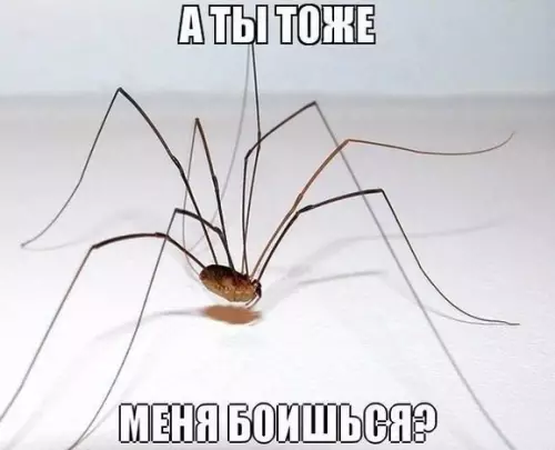 Смешная картинка №188133