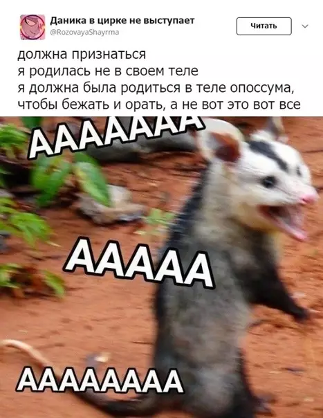 Смешная картинка №460305 Можно я тоже буду просто бежать и орать?