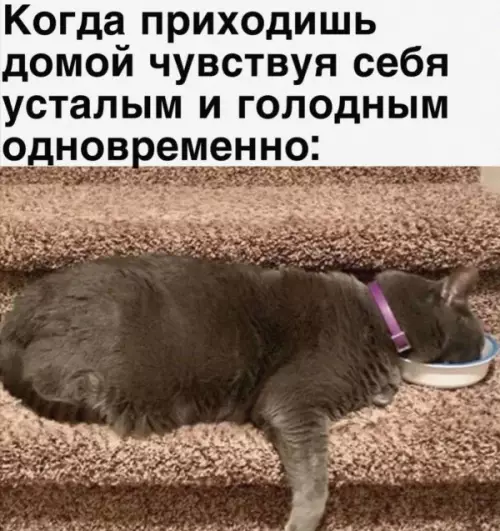 Смешная картинка №651656