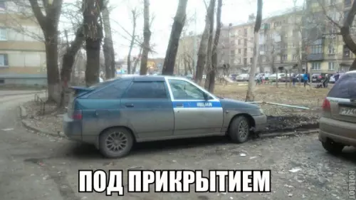 Смешная картинка №260417