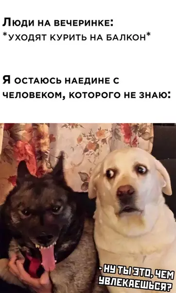 Смешная картинка №518611