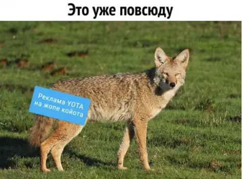 Смешная картинка №305632 ?