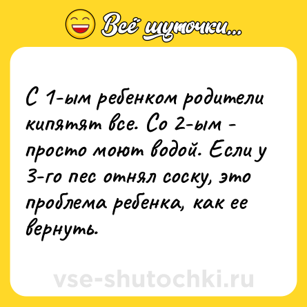Шутка: С 1-ым ребенком родители кипятят все. Со 2-ым - просто моют водой. Если у 3-го пес отнял соску, это проблема ребенка, как ее вернуть.