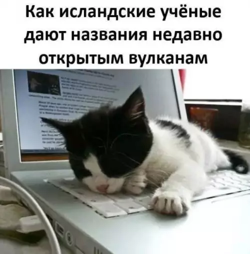 Смешная картинка №772049