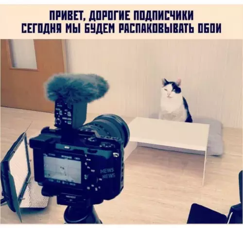 Смешная картинка №690628
