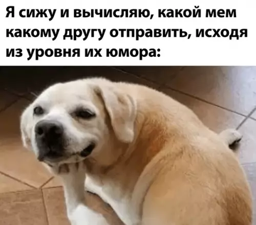 Смешная картинка №506063