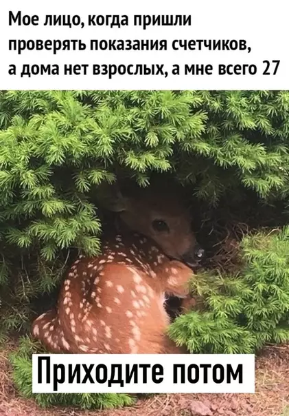Смешная картинка №497470