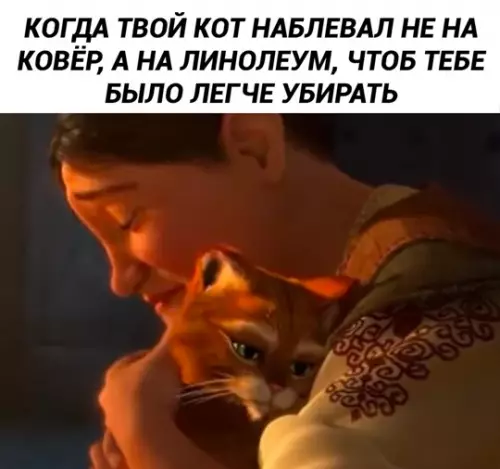 Смешная картинка №764805 Спасибо, мой хороший!