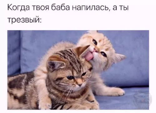 Смешная картинка №660917