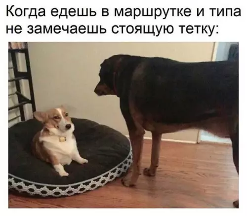 Смешная картинка №207267
