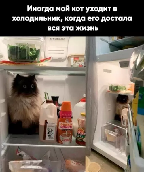 Смешная картинка №696899