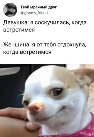 Смешная картинка №639596