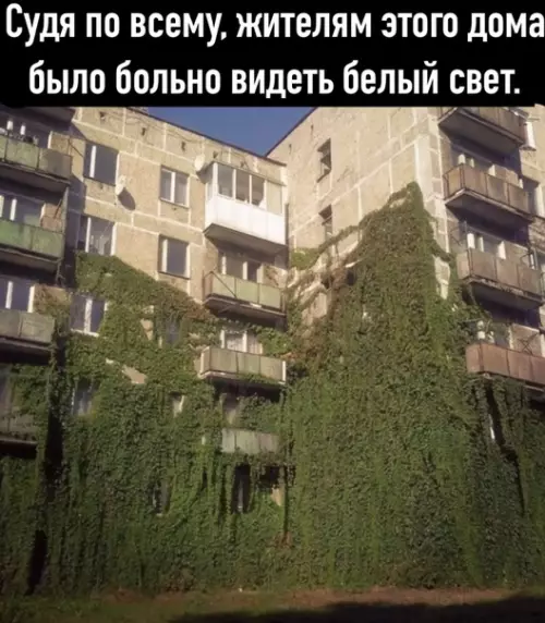 Смешная картинка №509143
