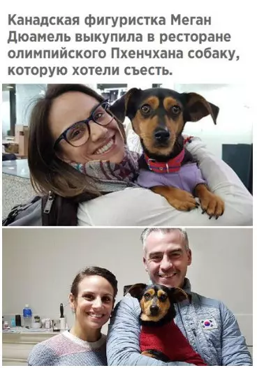 Смешная картинка №249121