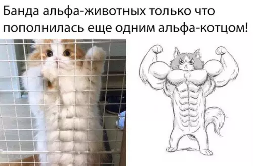 Смешная картинка №381812