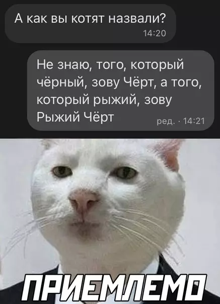 Смешная картинка №582010