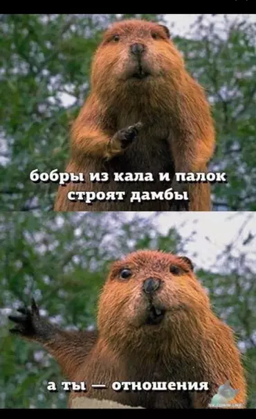 Смешная картинка №384071