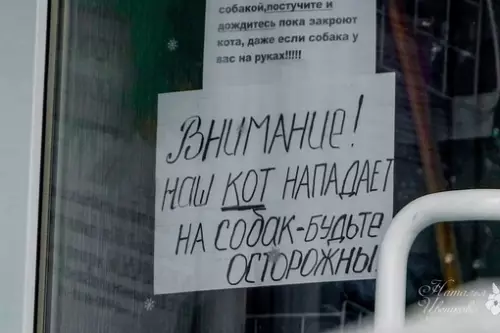 Смешная картинка №720407
