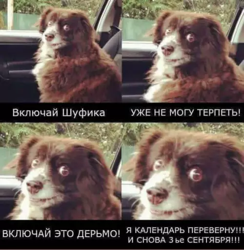 Смешная картинка №205659