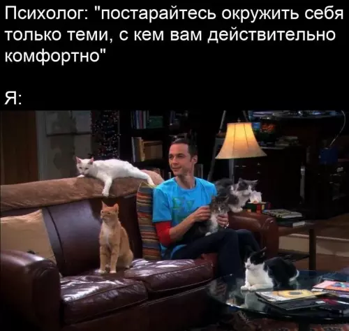 Когда послушал психолога и пошел по плану 🐈 - Психолог: постарайтесь окружить себя только теми, с кем вам действительно