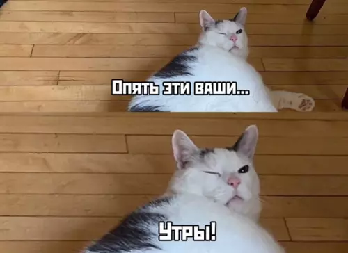 Смешная картинка №437211 И так каждый день