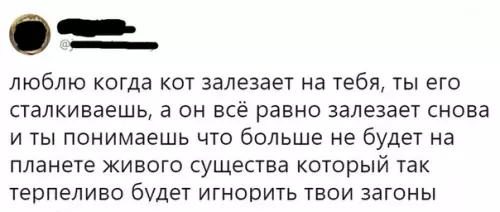 Смешная картинка №359990 Спасибо тебе, кот