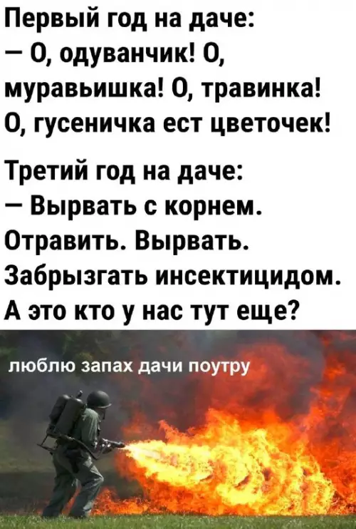 Смешная картинка №729884 Дачное дача