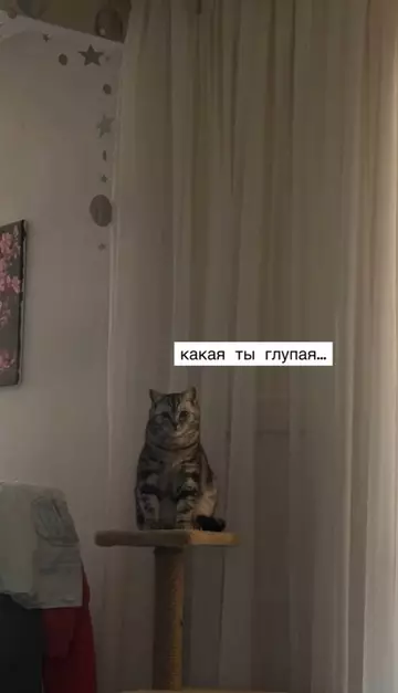 продолжение Смешная картинка №768680