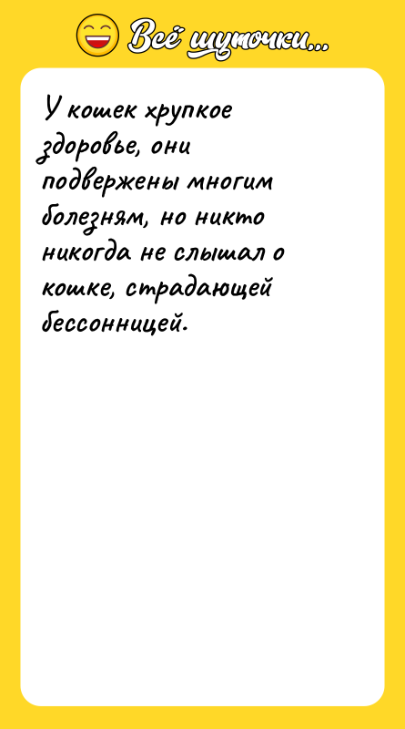У кошек хрупкое здоровье, они подвержены многим болезням, но никто