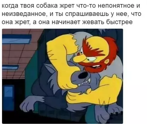Смешная картинка №182938