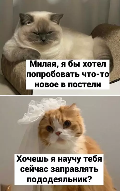 Смешная картинка №686664