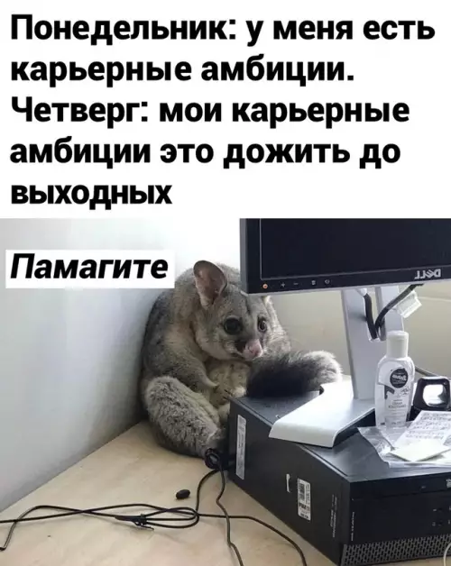 Смешная картинка №627039 У меня и в понедельник такие амбиции, как в четверг... работа