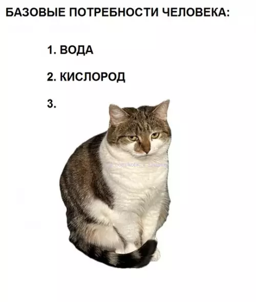 Смешная картинка №735977