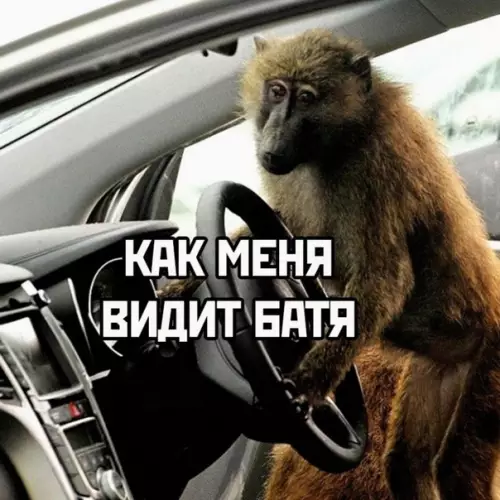 продолжение Смешная картинка №606388 Если посмотреть со стоpoны: