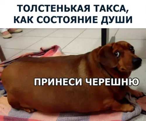 Смешная картинка №286220