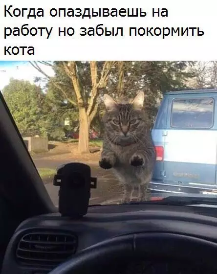 Смешная картинка №222760
