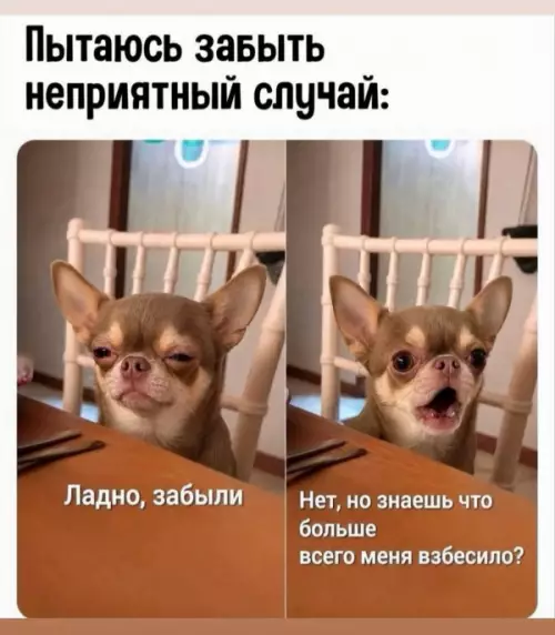 Смешная картинка №822659