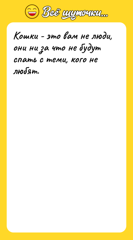 Кошки - это вам не люди, они ни за что