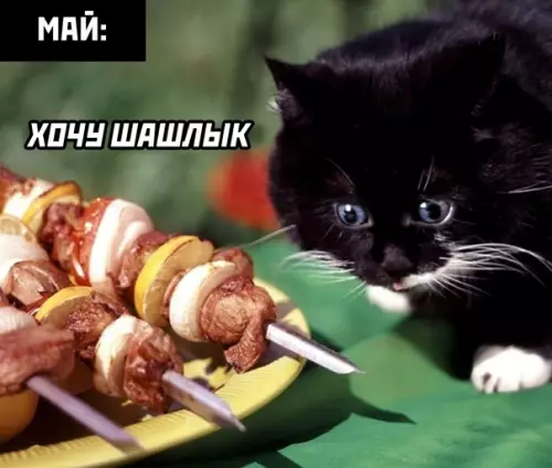 продолжение Смешная картинка №559946 Грустно, но вкусно