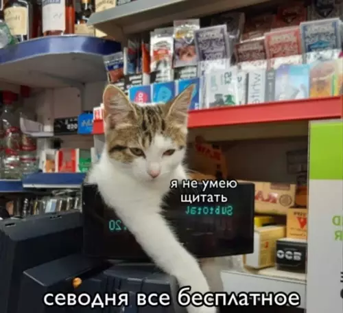 Смешная картинка №764269