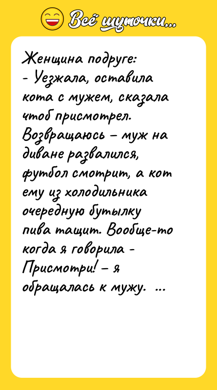 Женщина подруге:  - Уезжала, оставила кота с мужем, сказала