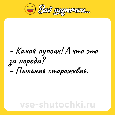 Шутка: – Какой пупсик! А что это за порода? <br>– Пыльная сторожевая.
