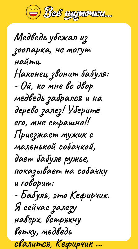 Медведь убежал из зоопарка, не могут найти.  Наконец звонит бабуля: