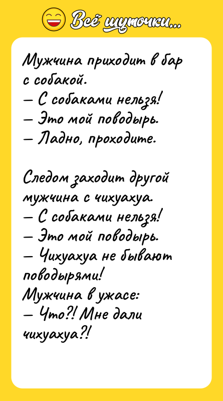 Шутка: Мужчина приходит в бар с собакой. С собаками нельзя! Это мой поводырь. Ладно, проходите.Следом заходит другой мужчина с чихуахуа. С собаками нельзя! Это мой поводырь. Чихуахуа не бывают поводырями!Мужчина в ужасе: Что?! Мне дали чихуахуа?!