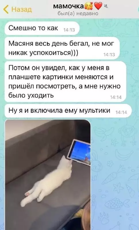 Смешная картинка №675282 коты