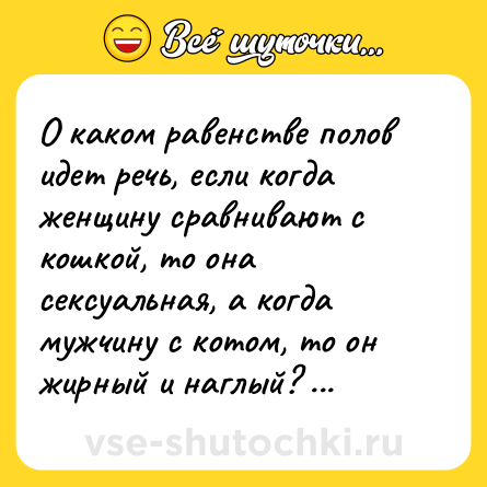 Шутка: О каком равенстве полов идет речь, если когда женщину сравнивают с кошкой, то она ceкcуальная, а когда мужчину с котом, то он жирный и наглый?  