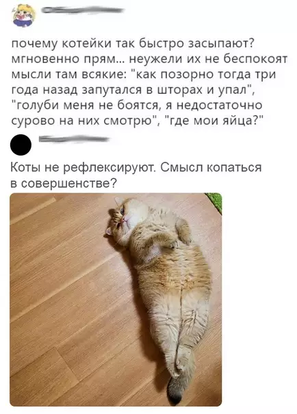 Смешная картинка №433250